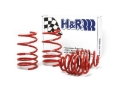 Picture of H&R 92-98 BMW 325i/325is/328i/328is E36 Race Spring (After 6/22/92 & Non Cabrio)