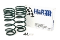 Picture of H&R 90-95 Toyota 4 Runner (2WD/4WD) Adventure Raising Spring (Adjustable)