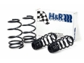 Picture of H&R HR Sport Springs Lowering Springs - 51655-500