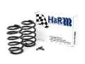 Picture of H&R 00-06 BMW X5 E53 Sport Spring (Air Ride Rear Susp. Only)