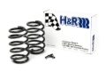 Picture of H&R 00-06 BMW X5 E53 Sport Spring (Air Ride Rear Susp. Only)