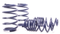 Picture of H&R 00-06 BMW X5 E53 Sport Spring