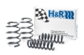 Picture of H&R HR Sport Springs Lowering Springs - 29028-1