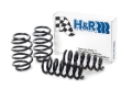 Picture of H&R 09-19 Ford Flex (2WD/AWD) Sport Spring
