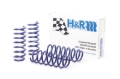 Picture of H&R HR Sport Springs Lowering Springs - 28947-1