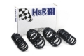 Picture of H&R 96-01 Audi A4 Quattro (AWD) B5 Sport Spring