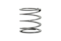 Picture of Individual Race Spring