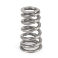 Picture of CONICAL VALVESPRINGS, 1.332"