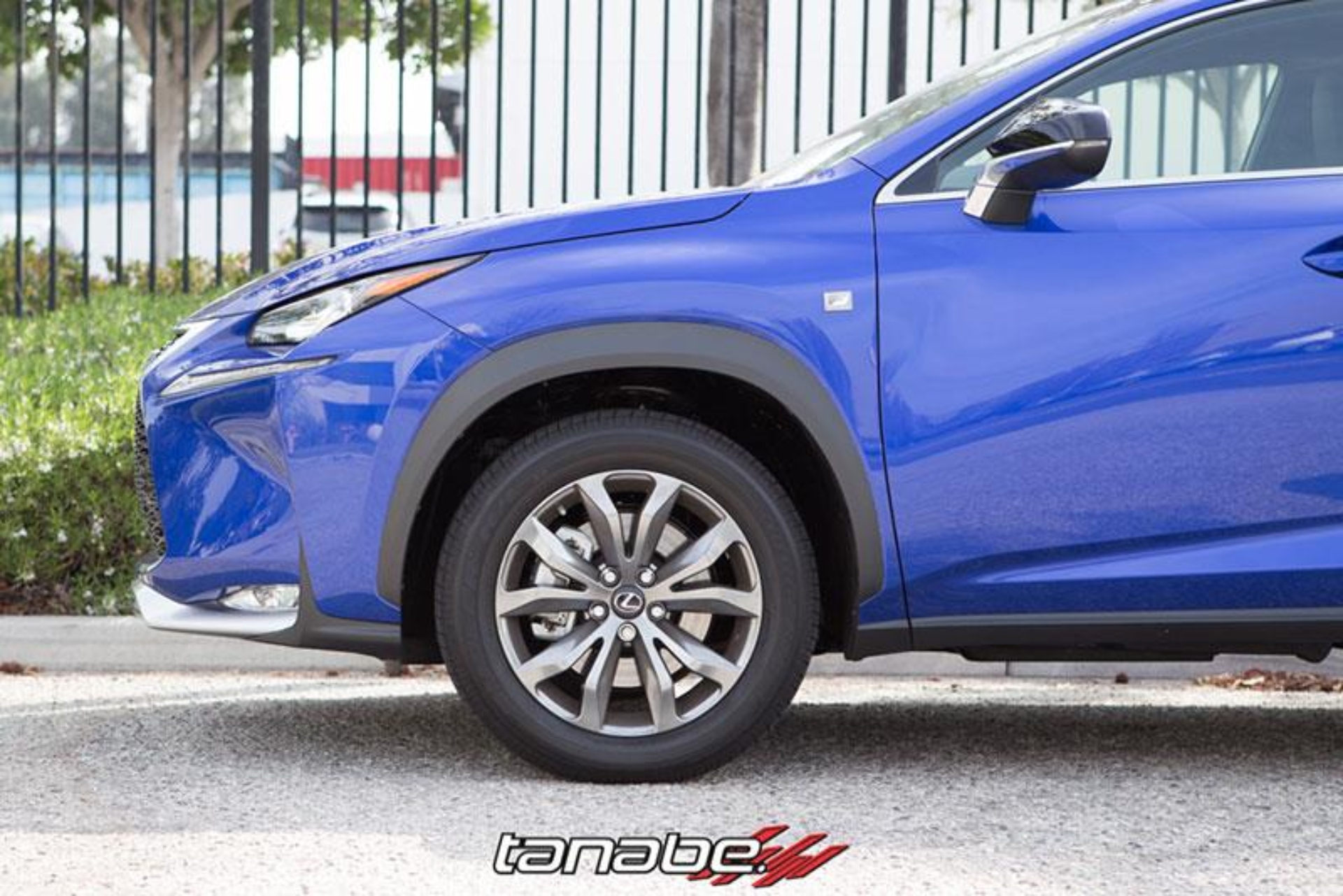 Picture of Tanabe TAN Springs-NF210 Lowering Springs - TNF196