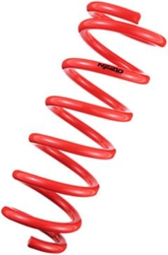 Picture of Tanabe NF210 Springs 10-14 Cube