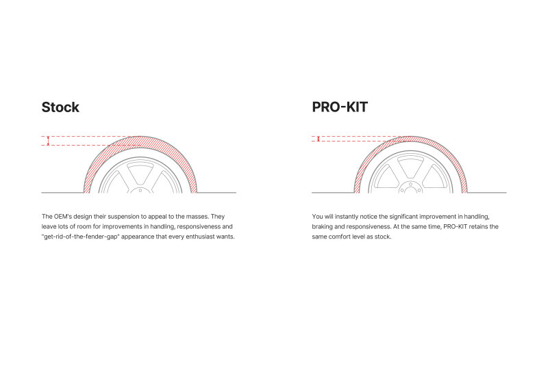 Picture of Pro-Kit Lowering Springs