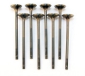 Picture of BLOX Racing High Compression Exhaust Valve Set for D-series SOHC VTEC (D16Z-Y)