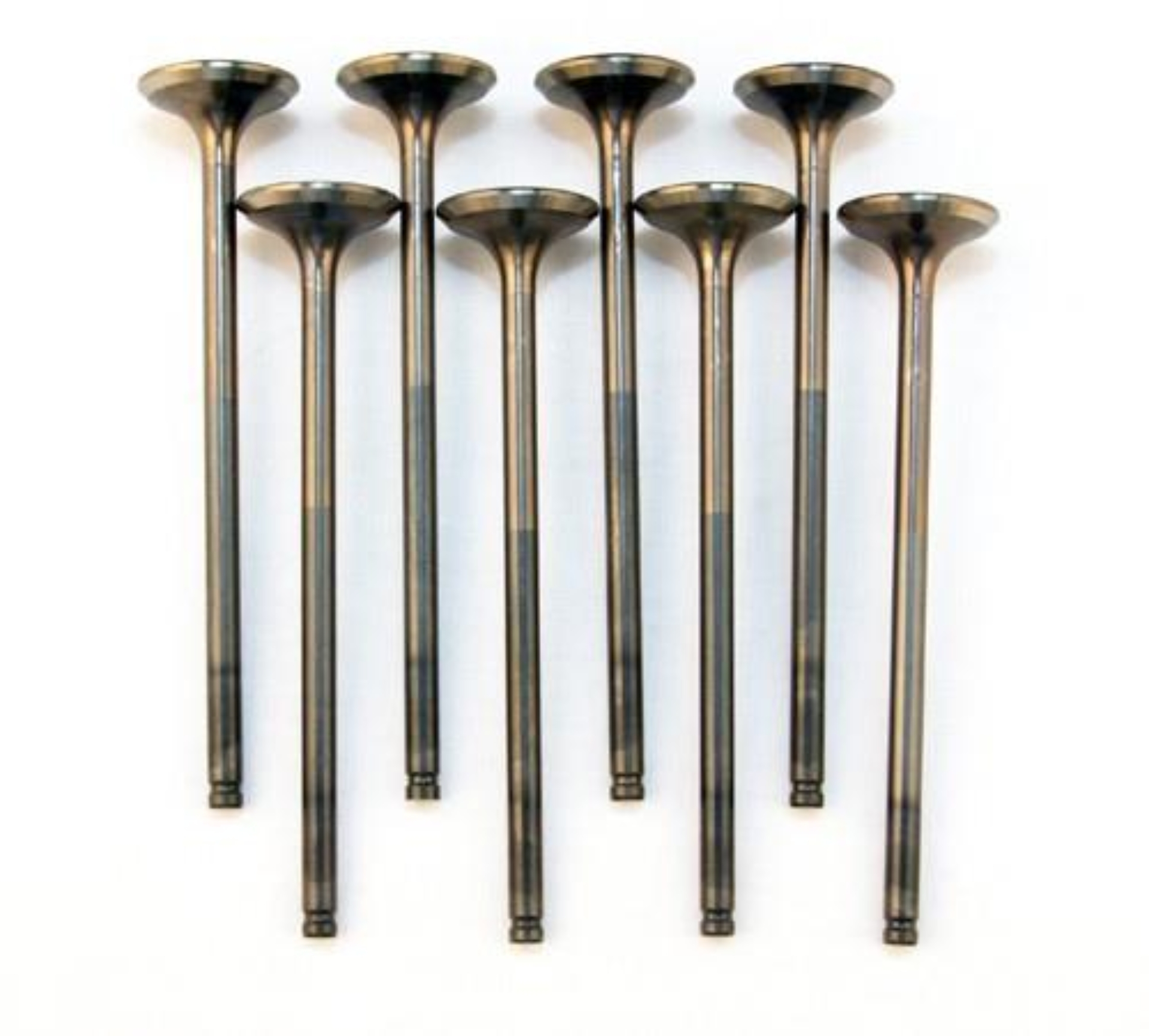Picture of BLOX Racing High Compression Exhaust Valve Set for D-series SOHC VTEC (D16Z-Y)