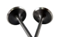 Picture of BLOX Racing High Compression Exhaust Valve Set for Honda F20C (set 0f 8)