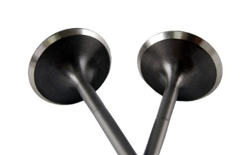 Picture of BLOX Racing High Compression Exhaust Valve Set for Honda F20C (set 0f 8)