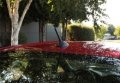 Picture of Perrin Performance PA Shorty Antenna - PSP-BDY-126