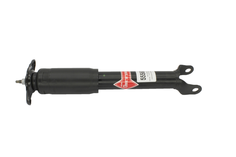 Picture of KYB Shock & Strut Excel-G Rear Shocks and Struts - 555609