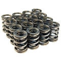 Picture of BLOX Racing Valve Springs for B18A-B / B20 (1.8L-2.0L DOHC)