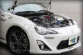 Picture of GReddy GRE Hood Lifter Kits Hood Struts - 18510101