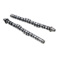 Picture of Skunk2 Racing SK Tuner Camshafts - 305-05-0150