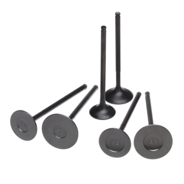 Picture of Skunk2 Pro Series Honda/Acura Stock Size B Series DOHC VTEC Intake Valve (Standard Compression)