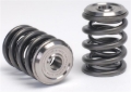 Picture of Skunk2 Alpha Series Honda/Acura B Series Valve Spring and Titanium Retainer Kit