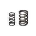 Picture of Skunk2 Racing SK Tuner Valve Springs Valve Springs, Retainers - 311-05-1350