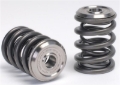 Picture of Skunk2 Alpha Series Honda/Acura K Series Valve Spring and Titanium Retainer Kit