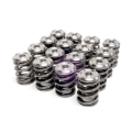 Picture of Skunk2 Alpha Series Honda/Acura K Series Valve Spring and Titanium Retainer Kit