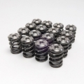 Picture of Skunk2 Alpha Series Honda/Acura B Series Valve Spring and Titanium Retainer Kit