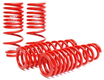 Picture of Skunk2 92-95 Honda Civic/Del Sol Lowering Springs (2.50in - 2.25in.) (Set of 4)