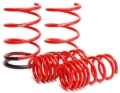 Picture of Skunk2 Racing SK Lowering Springs - 519-05-1570