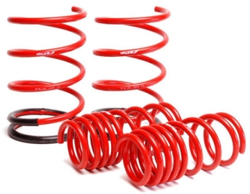 Picture of Skunk2 01-05 Honda Civic Lowering Springs (2.25in - 2.00in.) (Set of 4)