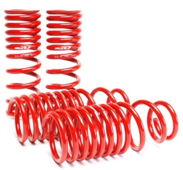 Picture of Skunk2 88-91 Honda Civic/CRX Lowering Springs (2.50in - 2.25in.) (Set of 4)