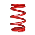 Picture of Skunk2 Universal Race Spring (Elliptical) - 6 in.L - 2.5 in.ID - 8kg/mm (0600.250.008E)