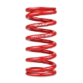 Picture of Skunk2 Racing SK Race Springs Lowering Springs - 521-99-1010