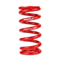 Picture of Skunk2 Racing SK Race Springs Lowering Springs - 521-99-1020