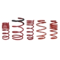Picture of Skunk2 Universal Race Spring (Elliptical) - 6 in.L - 2.5 in.ID - 14kg/mm (0600.250.014E)