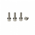 Picture of Skunk2 Camber Kit Bolts