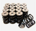 Picture of GSC P-D Honda B-Series Vtec Dual Spring Set and Titanium Retainer