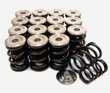 Picture of GSC P-D Honda B-Series Vtec Dual Spring Set and Titanium Retainer