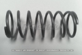 Picture of GReddy Type R Standard BOV Spring