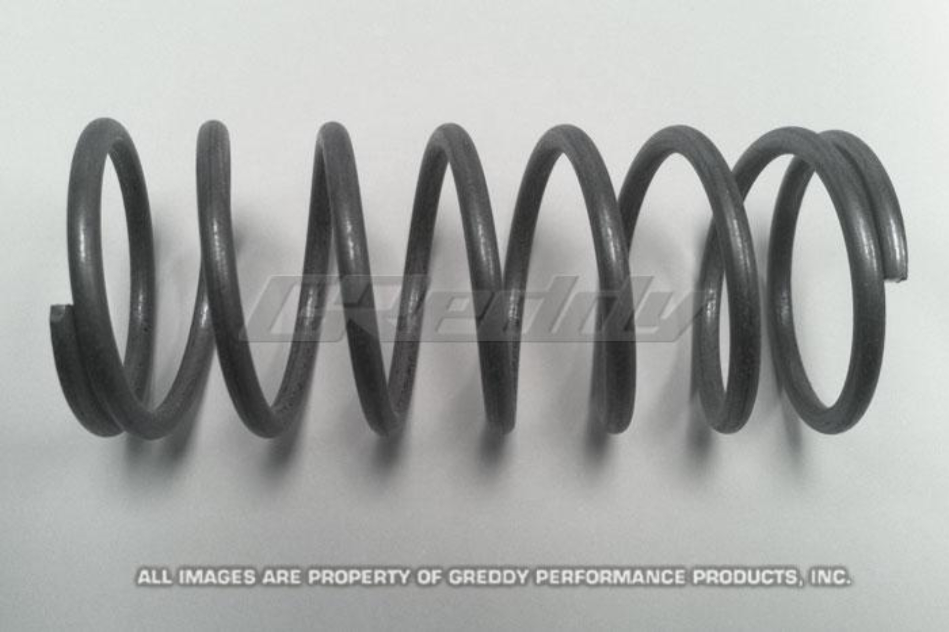 Picture of GReddy Type R Standard BOV Spring