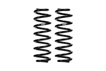 Picture of Pro-Kit Lowering Springs