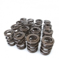 Picture of Skunk2 Racing SK Tuner Valve Springs Valve Springs, Retainers - 311-05-1360
