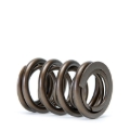 Picture of Skunk2 Racing SK Tuner Valve Springs Valve Springs, Retainers - 311-05-1360