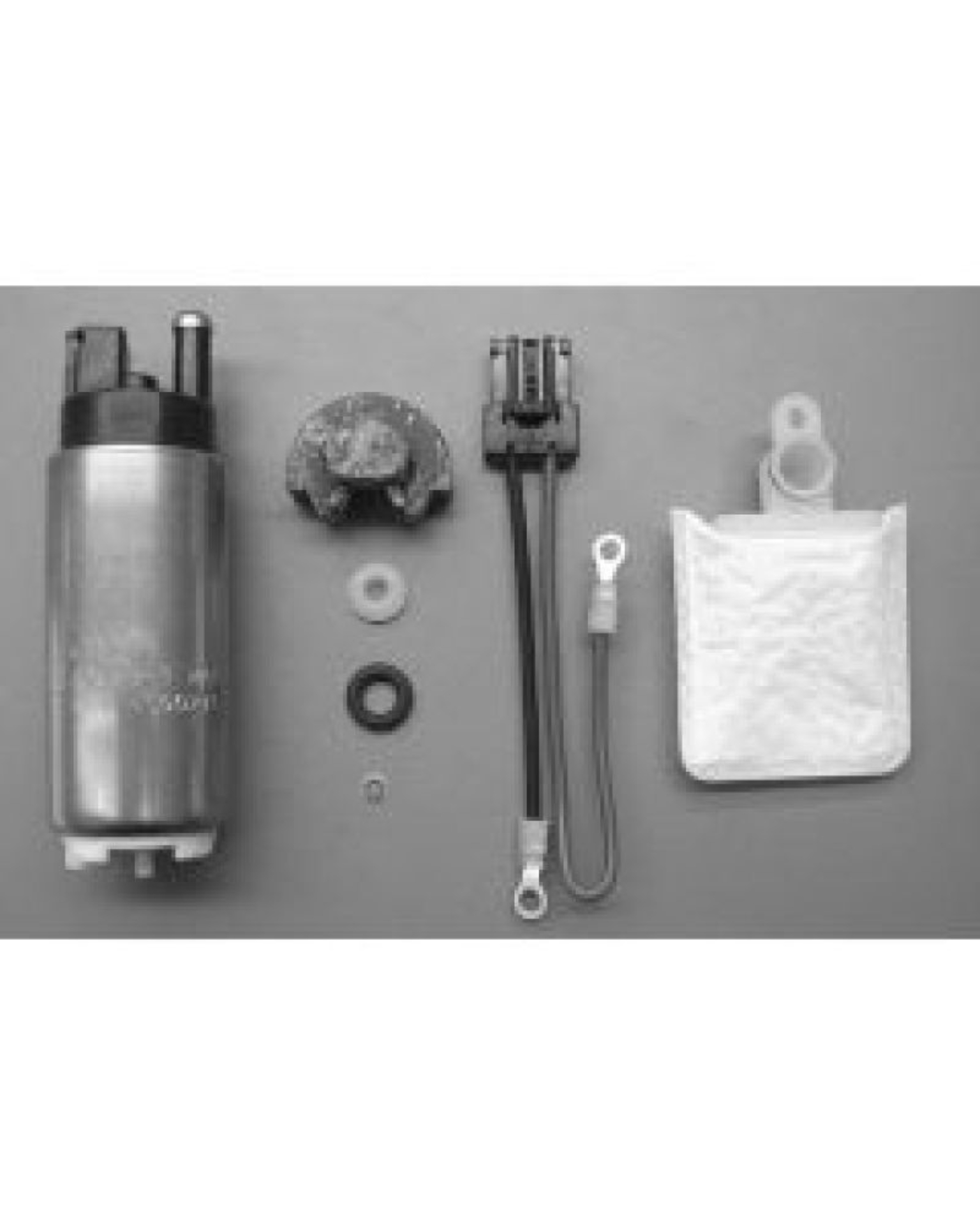 Picture of Walbro Fuel Pump/Filter Assembly