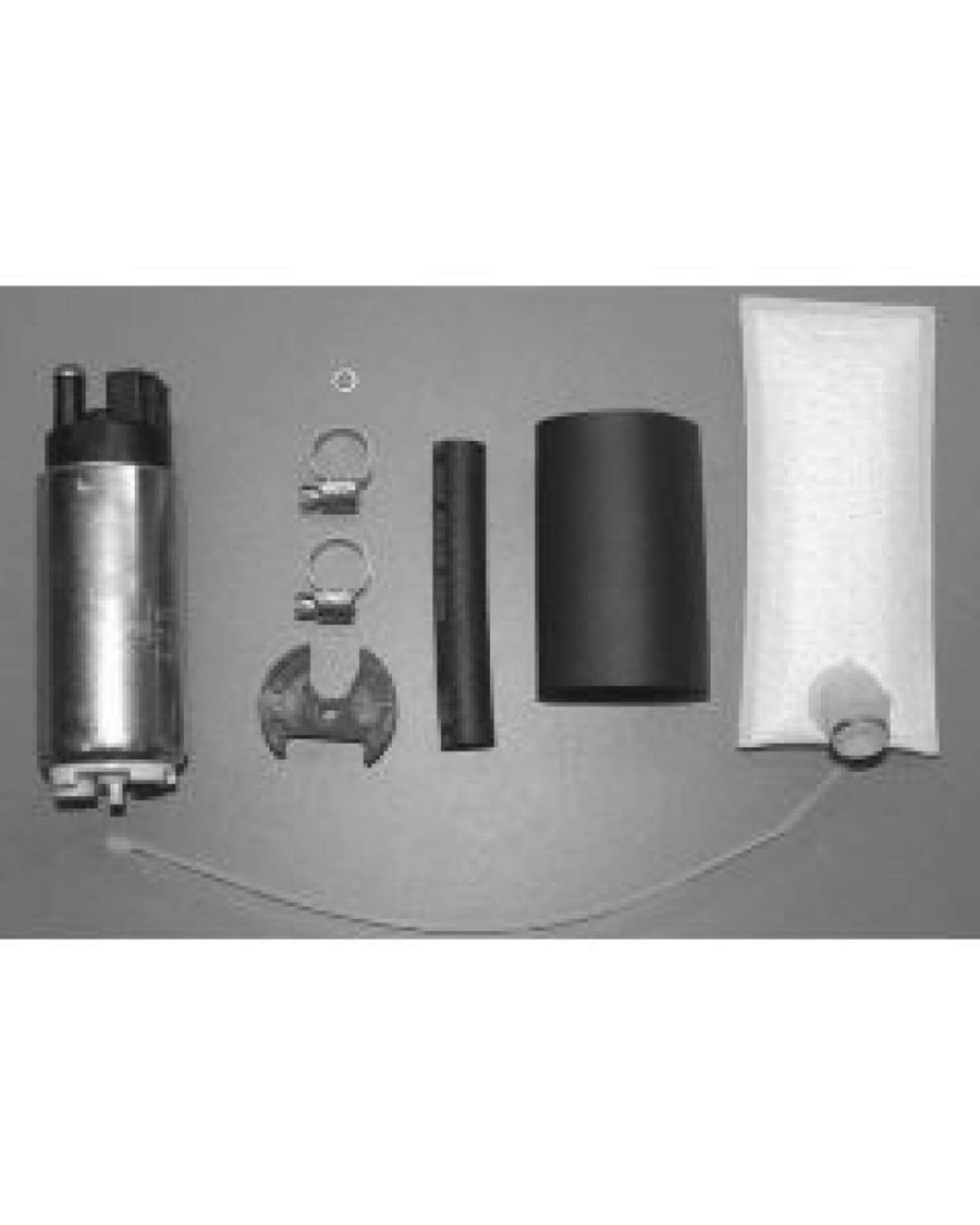Picture of Walbro Fuel Pump/Filter Assembly