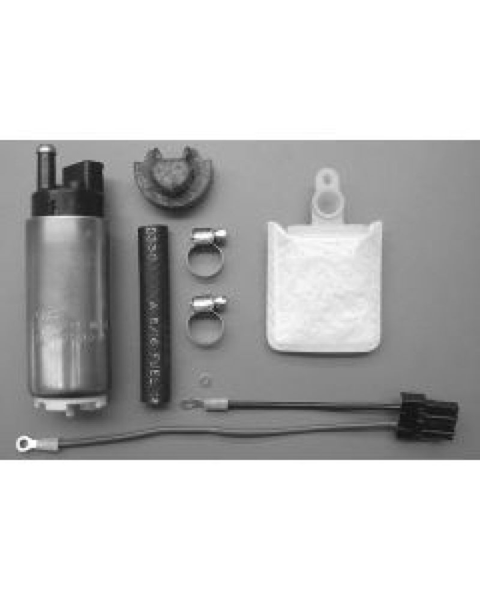 Picture of Walbro Fuel Pump/Filter Assembly