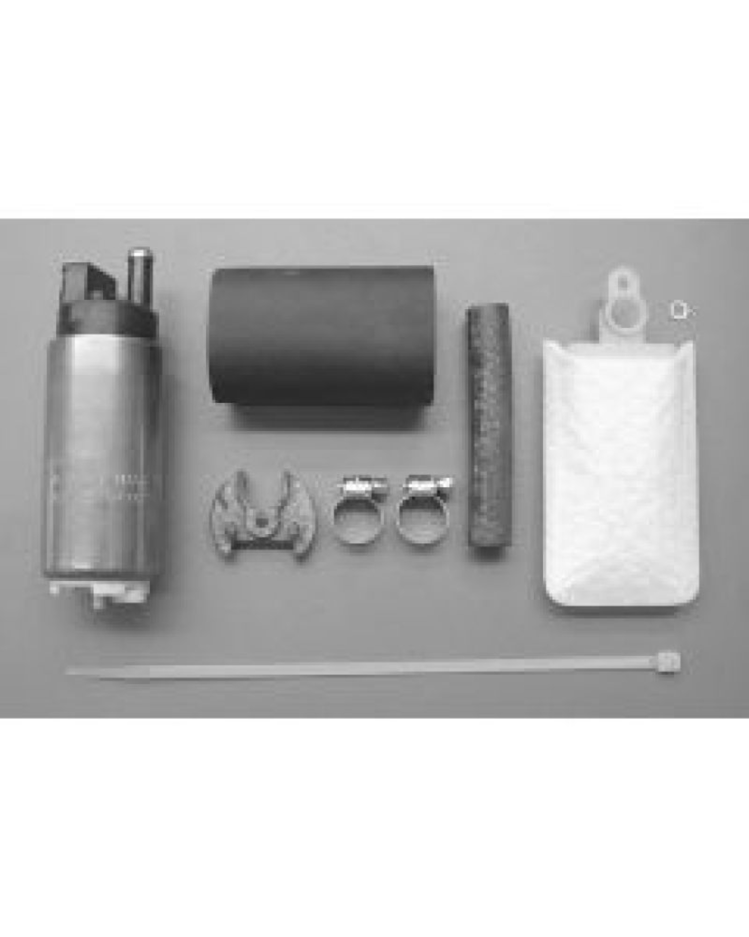 Picture of Walbro Fuel Pump/Filter Assembly